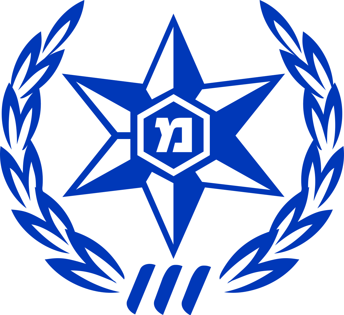 חוקי השוטרים