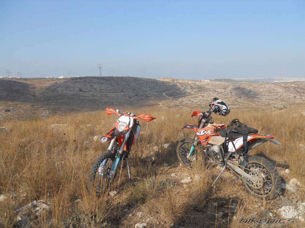 טיפ: רוכבים בקו 400 ומתקן אדם? על שושנת יריחו
