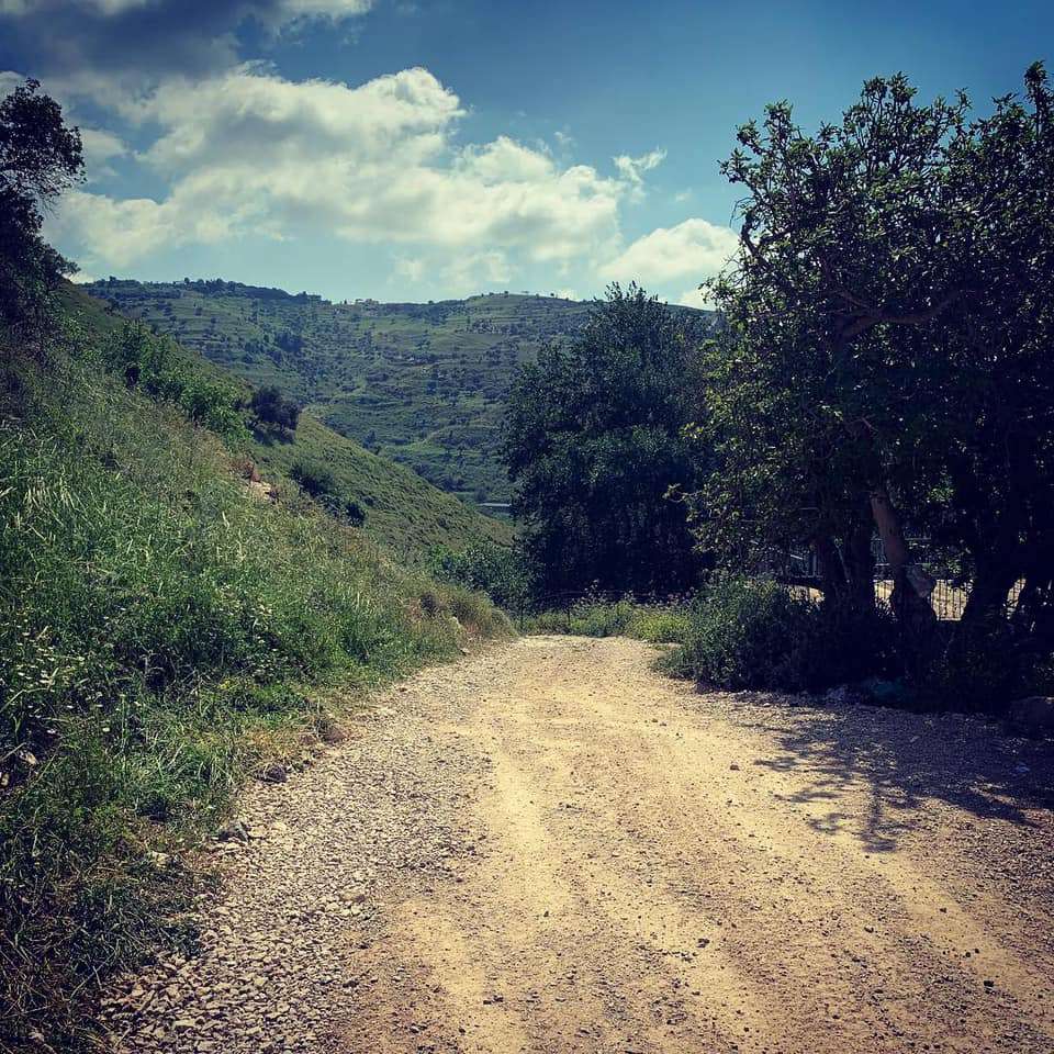 ההחלטה נפלה מזמן: אפריקה טווין