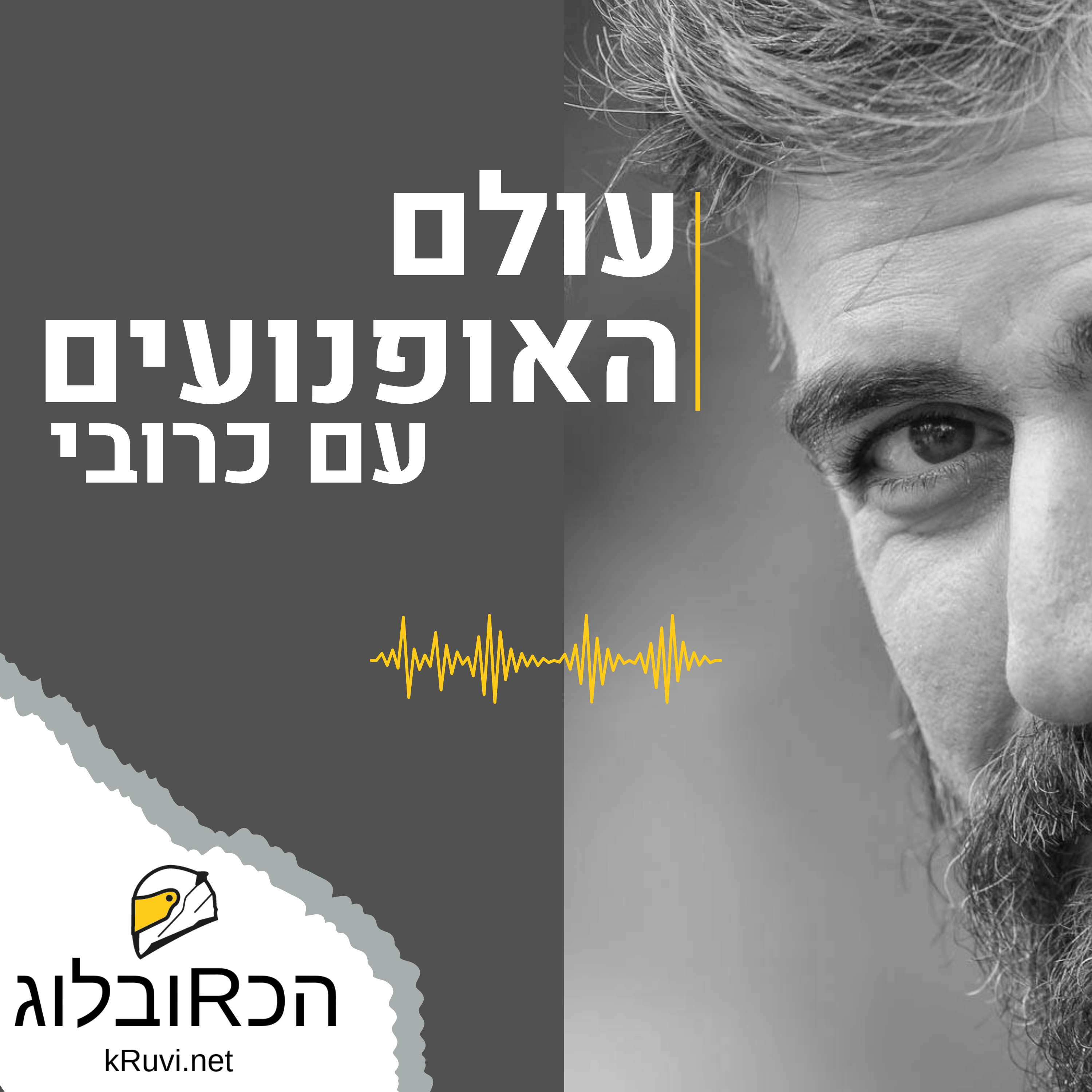 עולם האופנועים עם כרובי